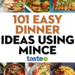 101 easy dinner ideas using mince 2026 07 21 142801 512x1024 1