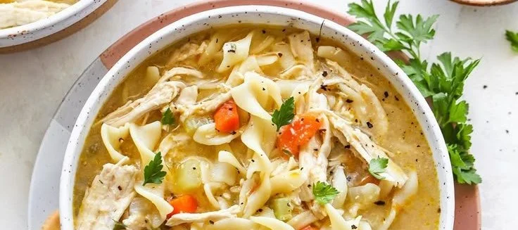 Bowl of homemade chicken noodle soup with fresh vegetables and noodles