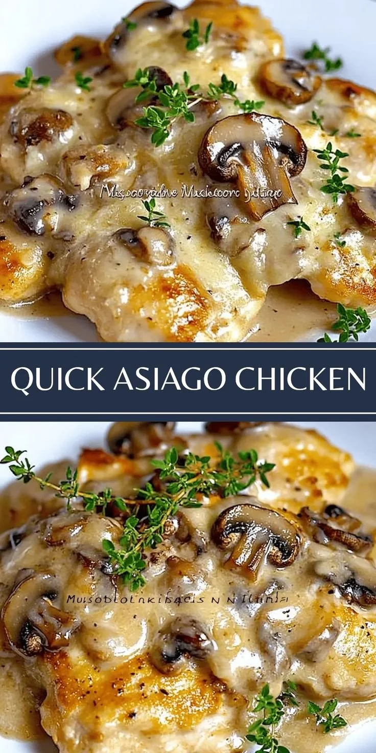 Quick and easy creamy mushroom asiago chicken dish