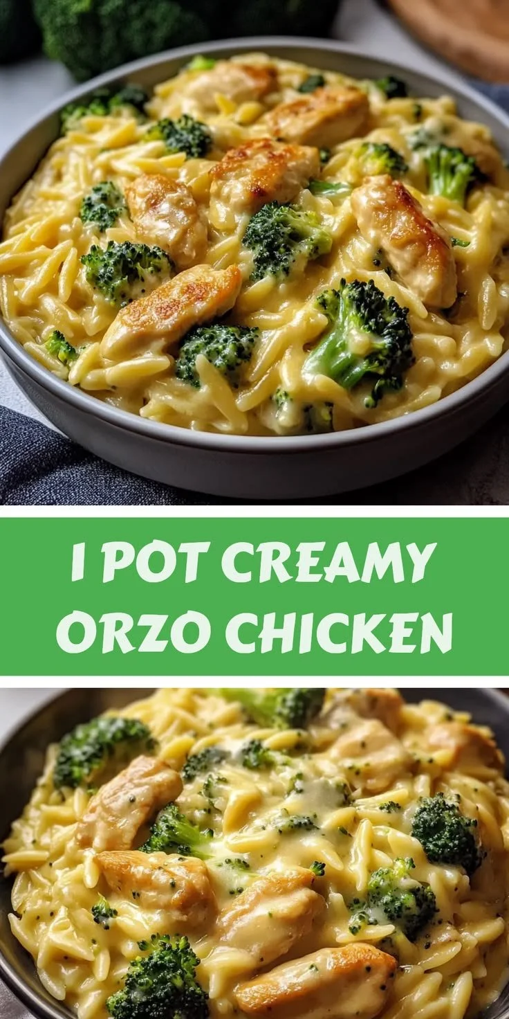 One pot creamy orzo with chicken ready to serve on a plate