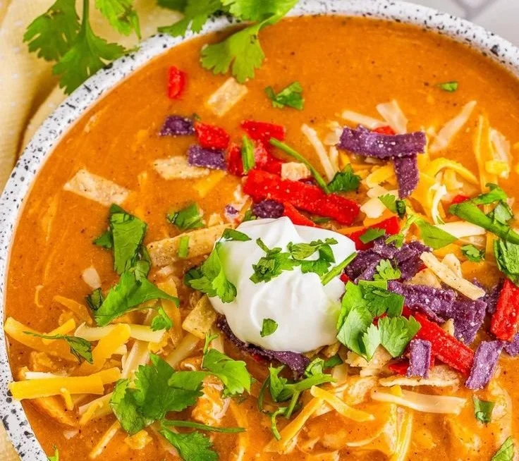 Chili's Chicken Enchilada served with fresh toppings and sides