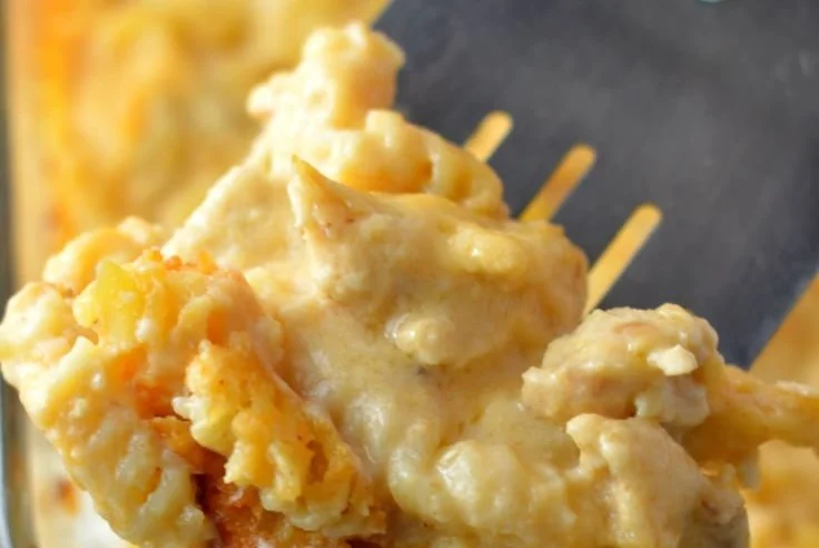 Baked cheesy chicken pasta casserole topped with melted cheese and herbs