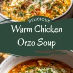 this warm chicken orzo soup feels like a hug 2026 07 21 142819 488x1024 1