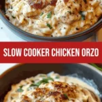 what is the best slow cooker chicken orzo recipe 2026 07 23 073841 512x1024 1