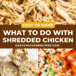 what to do with shredded chicken 2026 07 24 141501 512x1024 1