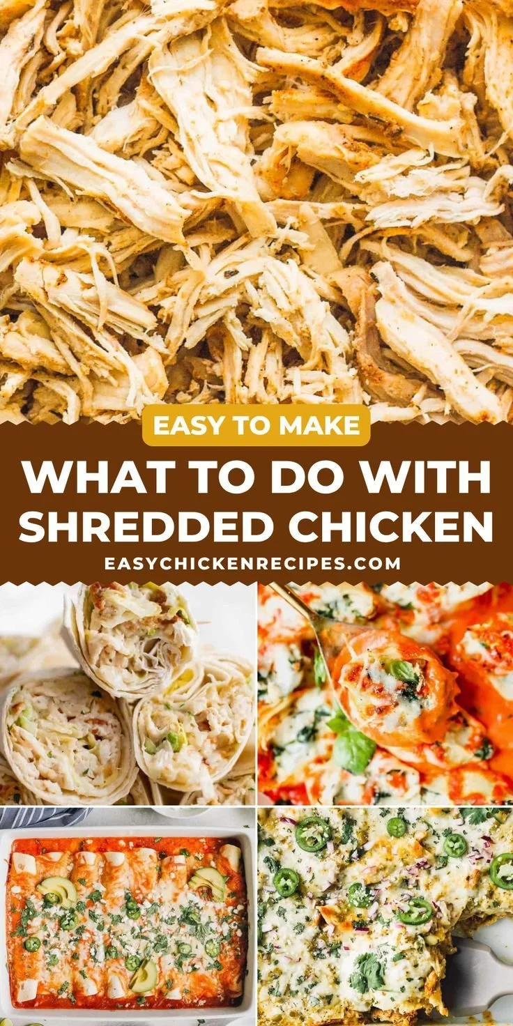 Delicious shredded chicken recipes and ideas for quick meals.
